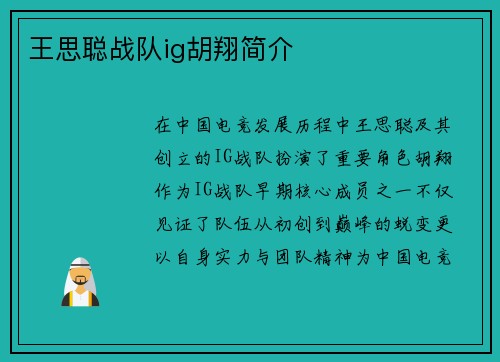 王思聪战队ig胡翔简介